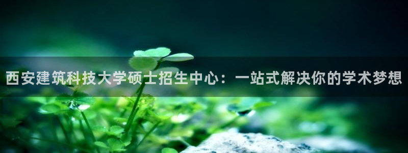 新航娱乐的创始人背景