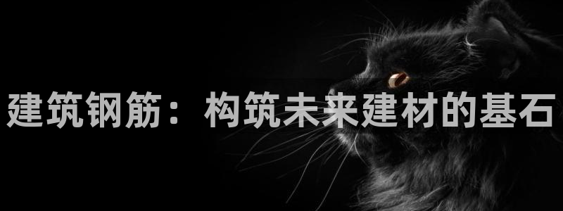 新航文化娱乐传媒怎么样