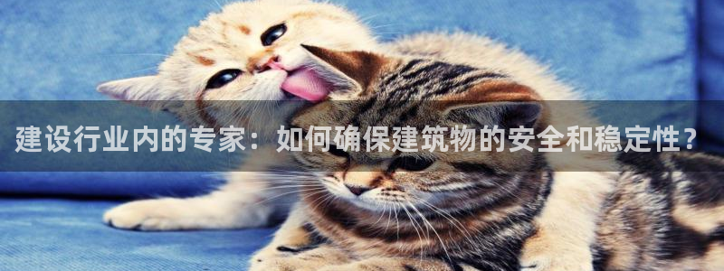 新航机上娱乐