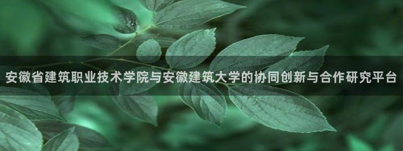 新航娱乐app下载地址