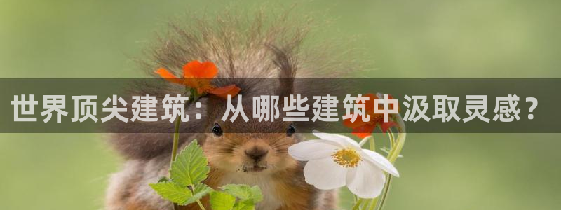 新航线娱乐