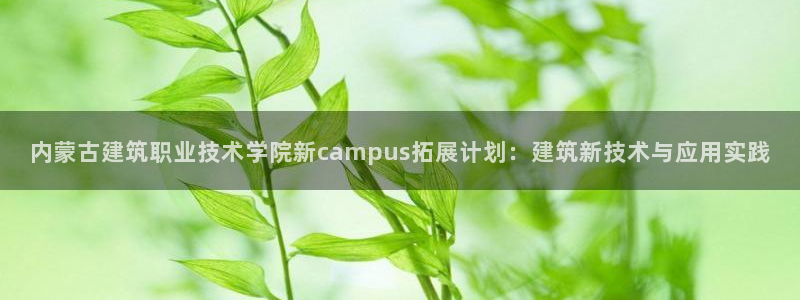新航娱乐app下载安装