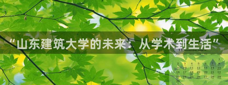 阜新航空娱乐