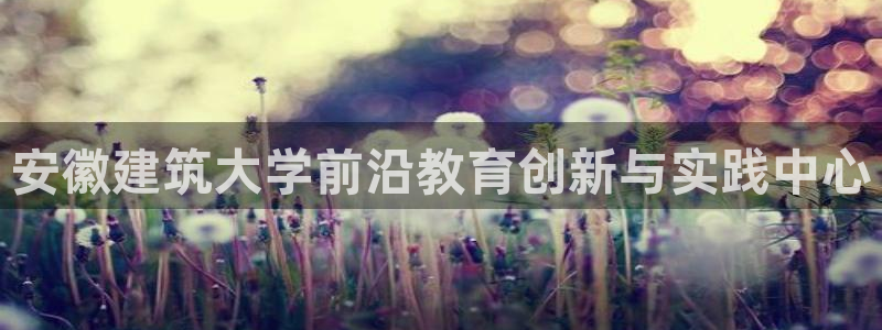 新航娱乐怎么样