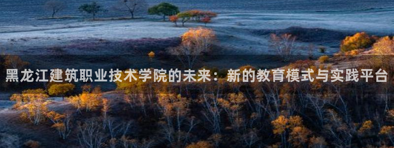 新航娱乐传媒怎么样啊