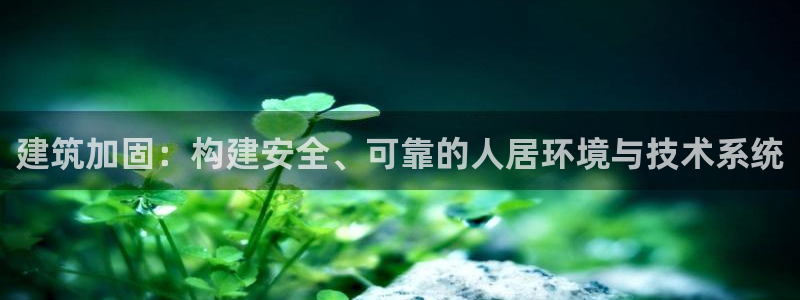 娱乐新航向：建筑加固：构建安全、可靠的人居环境与技术系统