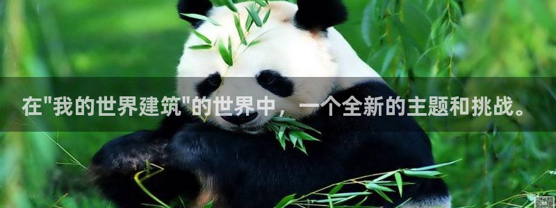 萧山娱乐新航母阿里巴巴