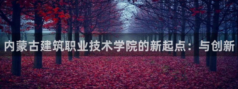 新航娱乐公司地址在哪里
