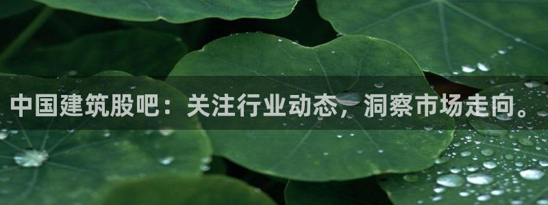 新航娱乐公司艺人招聘