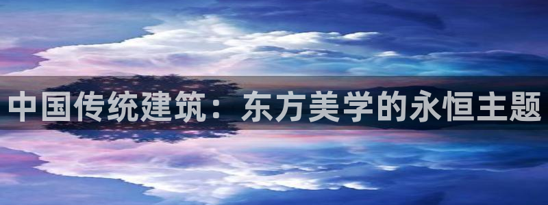 新航娱乐公司简介