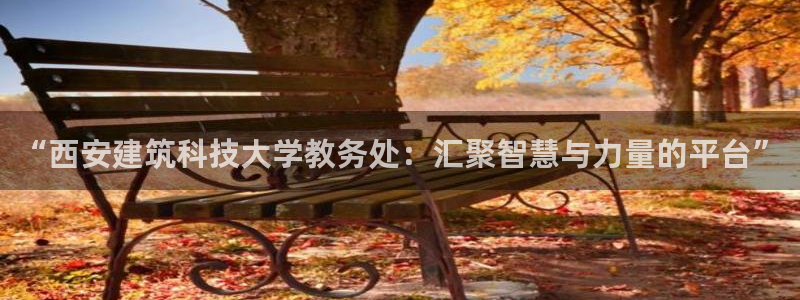 新航娱乐是干嘛的