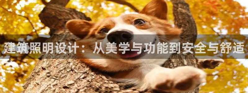 新航娱乐公司怎么样