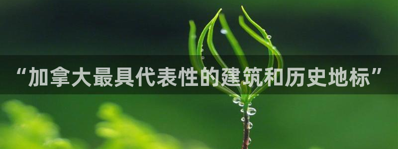 新航娱乐是干嘛的