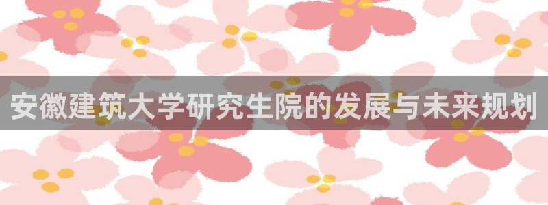 新航娱乐传媒怎么样