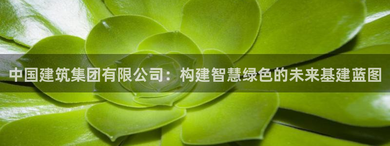 新航娱乐平台