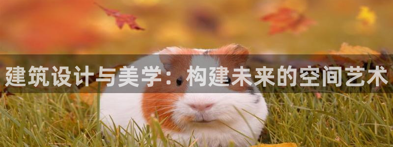 新航娱乐代理：建筑设计与美学：构建未来的空间艺术