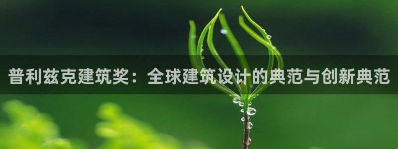 岛城娱乐新航向：普利兹克建筑奖：全球建筑设计的典范与创新典范