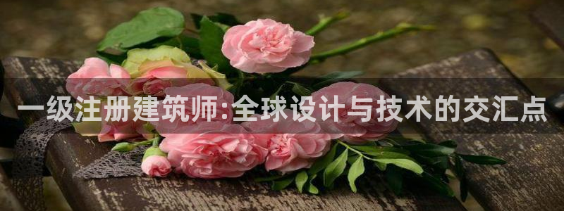 新航娱乐主管是谁