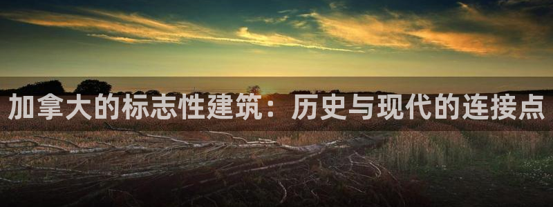 新航娱乐有限公司怎么样