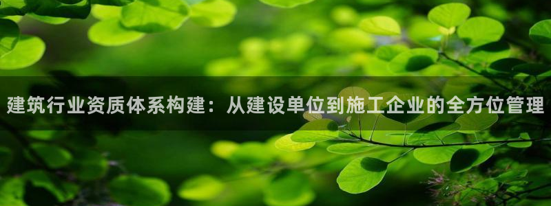 新航娱乐公司简介图片