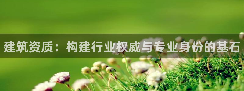 新航娱乐管理有限公司