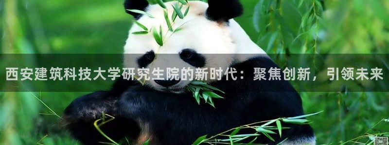 兰山新航线娱乐