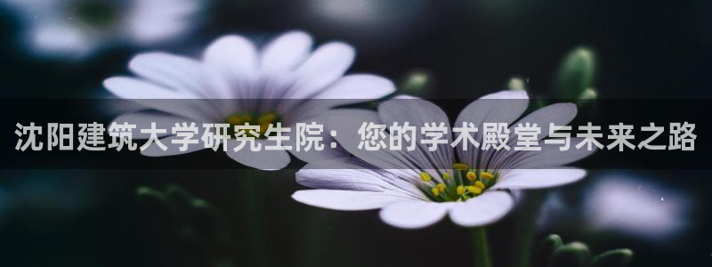 新航娱乐官方首页