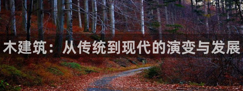 新航sq806娱乐系统